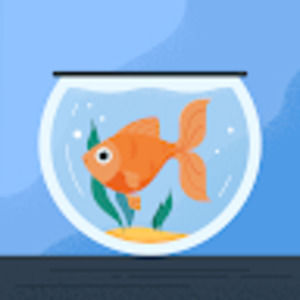 Meet your Posher, Nayara